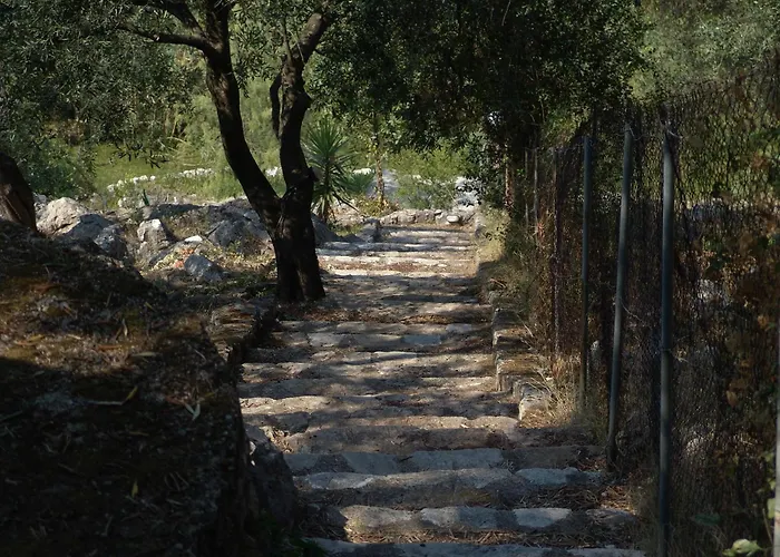 Vista Petros