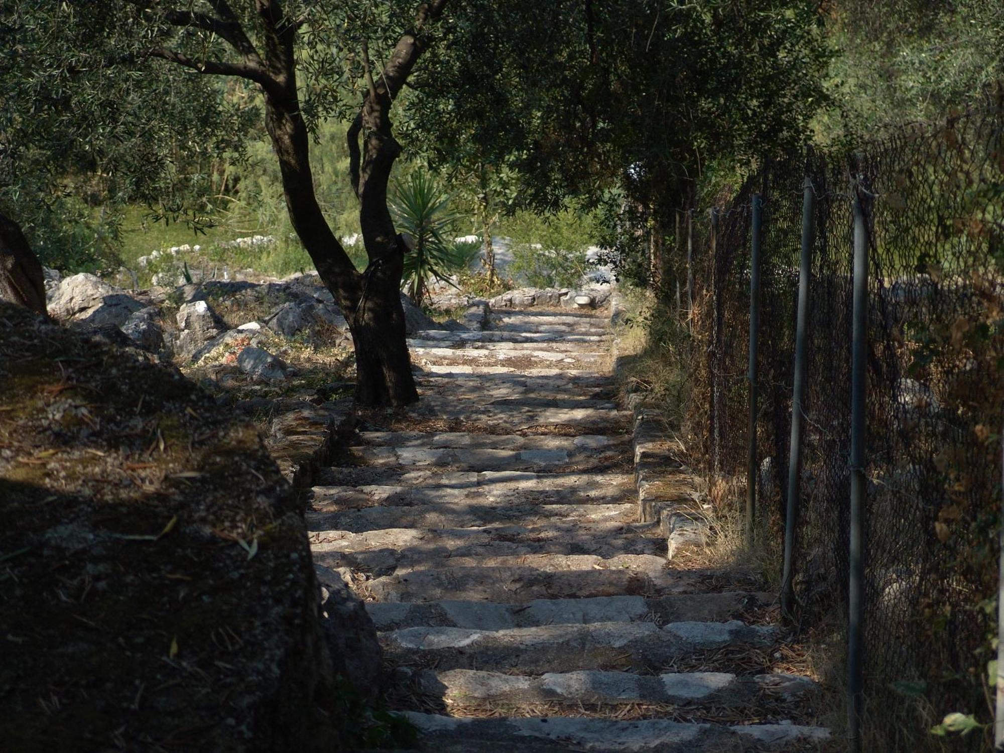 Vista Petros דירה *